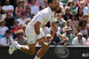 xingkong app-德约科维奇官方宣布战术调整新规，阿森纳引发争议！热度持续攀升-xingkong app